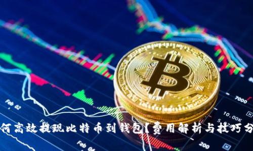 如何高效提现比特币到钱包？费用解析与技巧分享