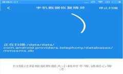 tpWallet提币失败的原因及解