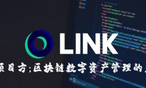 TPWallet项目方：区块链数字资产管理的未来领导者
