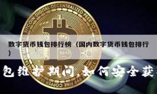 USDT钱包维护期间，如何安全获取资产？