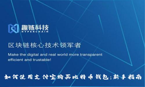 如何使用支付宝购买比特币钱包：新手指南