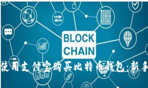 如何使用支付宝购买比特币钱包：新手指南