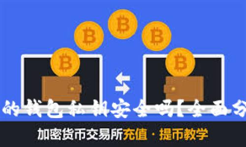 tpWallet生成的钱包私钥安全吗？全面分析及使用指南