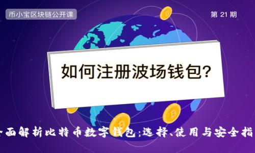 全面解析比特币数字钱包：选择、使用与安全指南