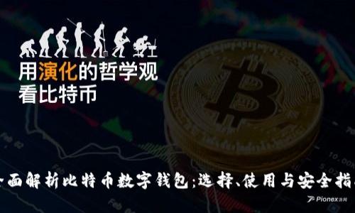 全面解析比特币数字钱包：选择、使用与安全指南