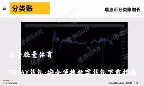 王子胶囊体育

TOPAY钱包：安全便捷数字钱包下载指南