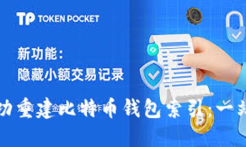 如何成功重建比特币钱包索引：一站式指南