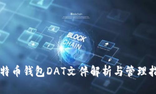 比特币钱包DAT文件解析与管理指南