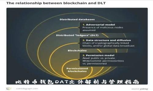 比特币钱包DAT文件解析与管理指南