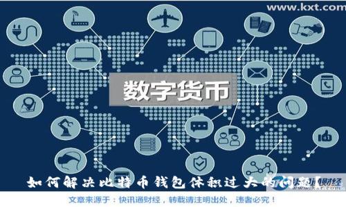 如何解决比特币钱包体积过大的问题？