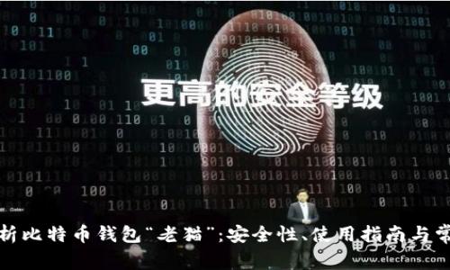 全面解析比特币钱包“老猫”：安全性、使用指南与常见问题