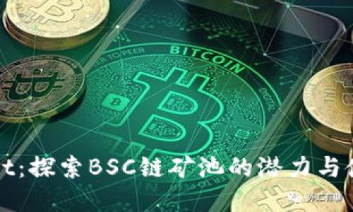 tpWallet：探索BSC链矿池的潜力与使用指南