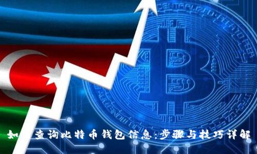 如何查询比特币钱包信息：步骤与技巧详解