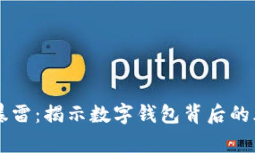 tpWallet暴雷：揭示数字钱包背后的风险与对策