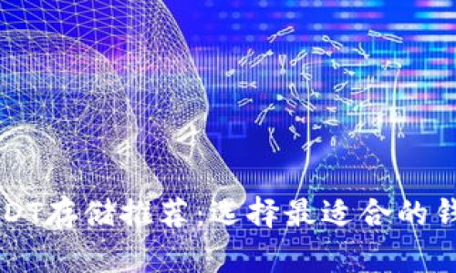 大额USDT存储推荐：选择最适合的钱包类型