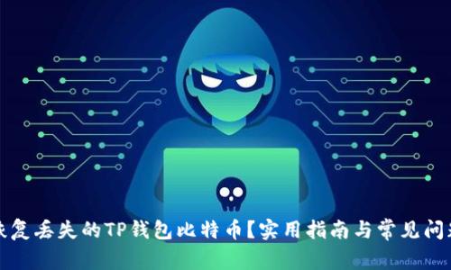 如何恢复丢失的TP钱包比特币？实用指南与常见问题解析
