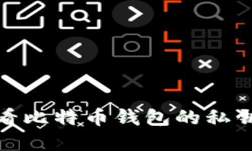 如何安全查看比特币钱包的私钥与其重要性