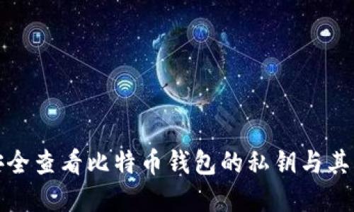 如何安全查看比特币钱包的私钥与其重要性