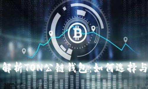 全面解析TON公链钱包：如何选择与使用