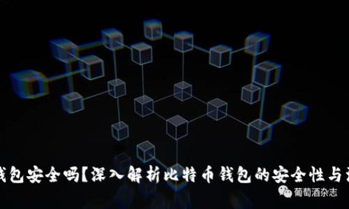 比特币钱包安全吗？深入解析比特币钱包的安全性与注意事项