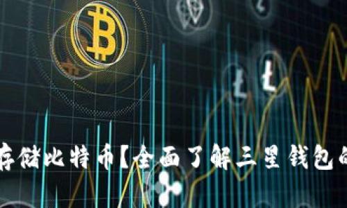 三星钱包能否存储比特币？全面了解三星钱包的加密货币功能