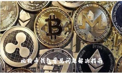 比特币钱包常见问题解决指南