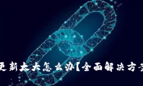 比特币钱包更新太大怎么办？全面解决方案与实用技巧