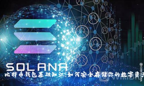 : 比特币钱包基础知识：如何安全存储你的数字资产