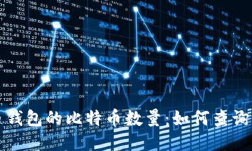 比特币钱包的比特币数量：如何查询与管理