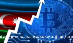 如何有效管理TP Wallet中的BNB矿工费：用户必知指