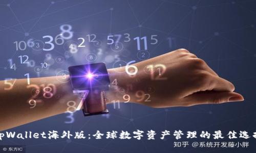 tpWallet海外版：全球数字资产管理的最佳选择
