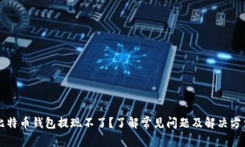 比特币钱包提现不了？了解常见问题及解决方法