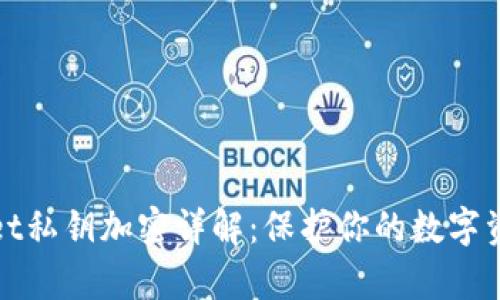 tpWallet私钥加密详解：保护你的数字资产安全
