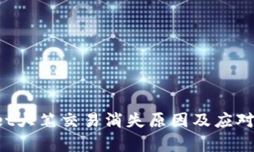  tpWallet大笔交易消失原因及应对措施解析