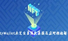  tpWallet大笔交易消失原因及应对措施解析