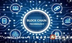 **tpWallettron网：了解去中心化钱包的未来