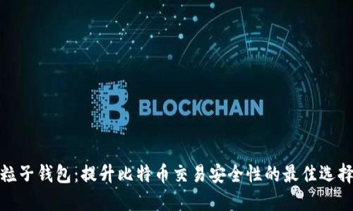 粒子钱包：提升比特币交易安全性的最佳选择