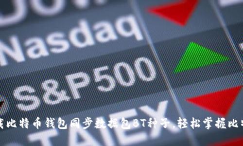 如何快速下载比特币钱包同步数据包BT种子，轻松掌握比特币使用技巧