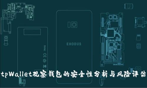 tpWallet观察钱包的安全性分析与风险评估