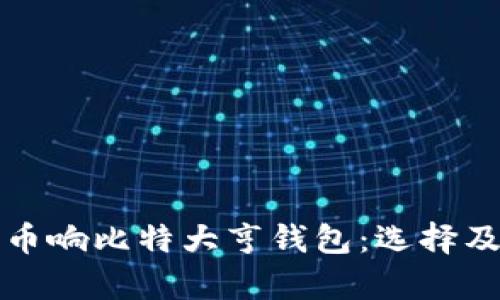 全面解析币响比特大亨钱包：选择及使用指南