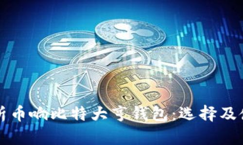 全面解析币响比特大亨钱包：选择及使用指南
