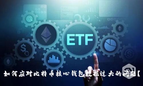 如何应对比特币核心钱包数据过大的问题？