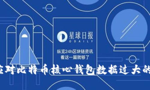 如何应对比特币核心钱包数据过大的问题？