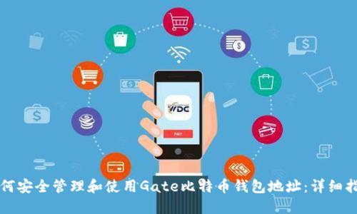 如何安全管理和使用Gate比特币钱包地址：详细指南