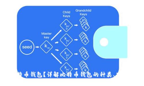 什么是比特币钱包？详解比特币钱包的种类、功能和安全性