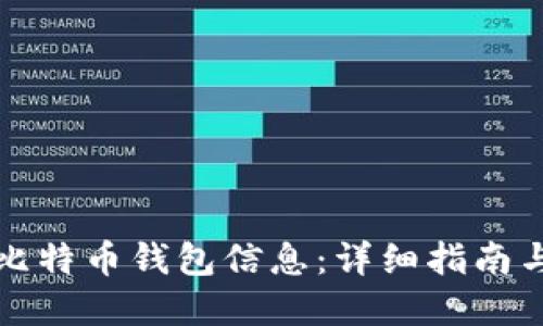 如何查询比特币钱包信息：详细指南与实用技巧