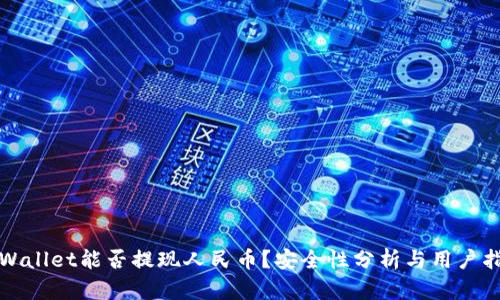 tpWallet能否提现人民币？安全性分析与用户指引