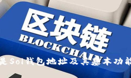 什么是Sol钱包地址及其基本功能解析