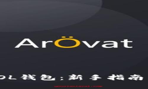 如何使用SOL钱包：新手指南与实用技巧