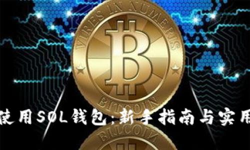 如何使用SOL钱包：新手指南与实用技巧